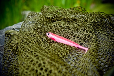 Lieblingsköder Pinky