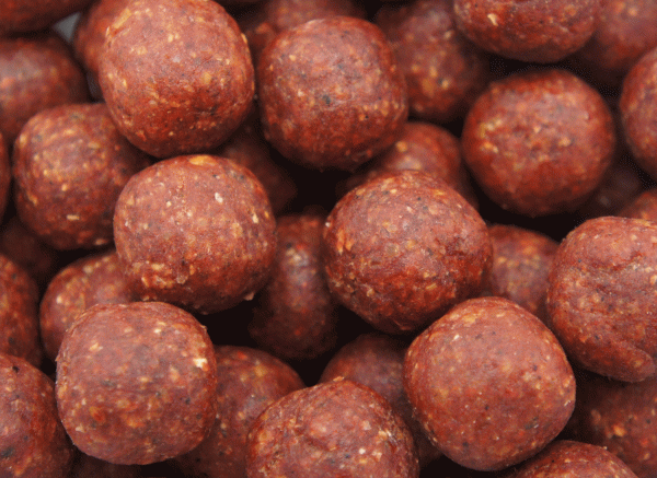 XR-Garlic-Robin-Red-close-up